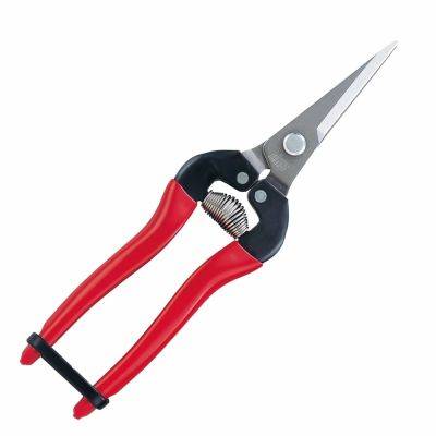Easy does it: lightweight pruning tools (why i’m grabbing snips vs. bigger pruners) - awaytogarden.com
