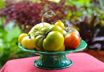 How to save seeds of heirloom tomatoes - awaytogarden.com