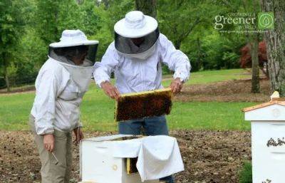Beginning beekeeping, with joe lamp’l - awaytogarden.com