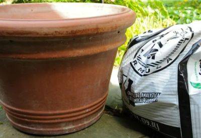 Soil-saving tricks for planting big pots - awaytogarden.com
