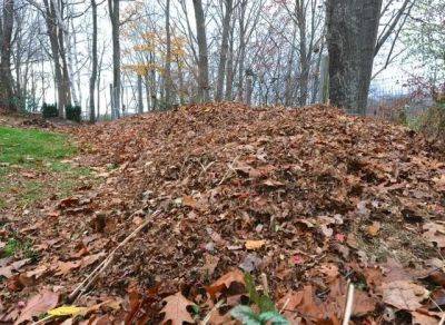 Putting leaves to work: shredding 101, with mike mcgrath - awaytogarden.com
