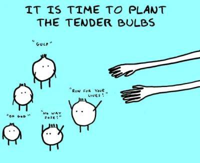 Doodle by andre: love me tender, say the bulbs - awaytogarden.com - Jordan