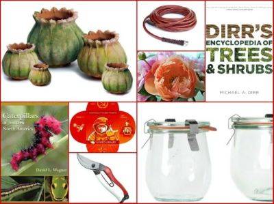 Garden gifts: 16 things I’d like, or like to give - awaytogarden.com - Egypt - county Hudson - county Valley