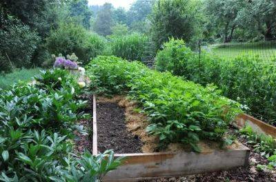 Vegetable-garden tuneup: make room for more - awaytogarden.com