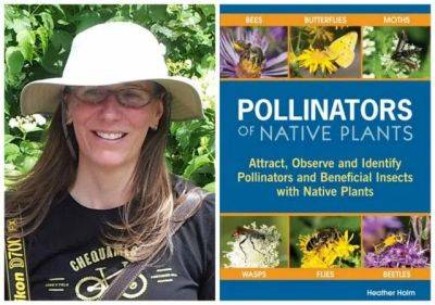 ‘pollinators of native plants,’ with heather holm - awaytogarden.com - state Minnesota