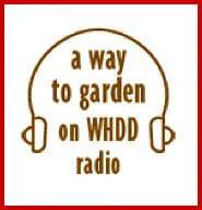 Radio podcast: the 365-day garden - awaytogarden.com