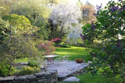 May 10 slideshow: apple blossoms, fern croziers - awaytogarden.com