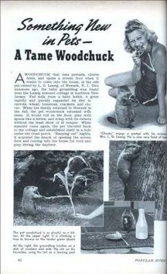 Woodchucks i have known, not loved - awaytogarden.com