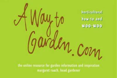 Stray thought: a way, or away, to garden? - awaytogarden.com