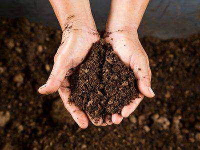 Determine Soil Texture With A Soil Feel Test - gardeningknowhow.com