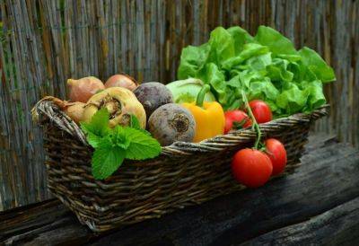 ‘Tis the Season for Fresh Fruits and Vegetables - hgic.clemson.edu