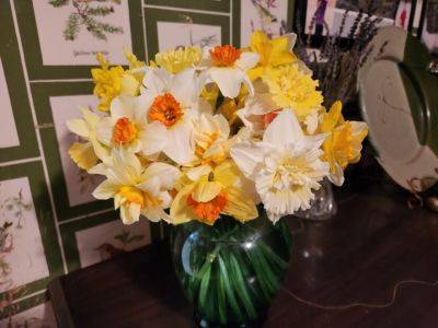 A Bouquet of Sunshine - hgic.clemson.edu