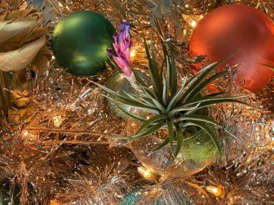 Botanically Themed Christmas Tree - hgic.clemson.edu - state South Carolina