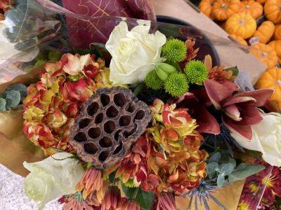 Recycle, Reduce, and Reuse: Cucurbit-Style Birdfeeders - hgic.clemson.edu - state South Carolina