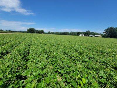 SC Fruit and Vegetable Field Report – July 25, 2022 - hgic.clemson.edu