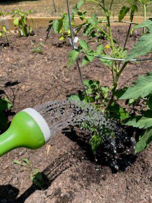 Watering the Vegetable Garden - hgic.clemson.edu