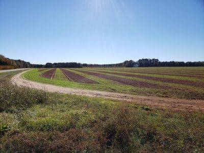 SC Fruit and Vegetable Field Report November 15, 2021 - hgic.clemson.edu