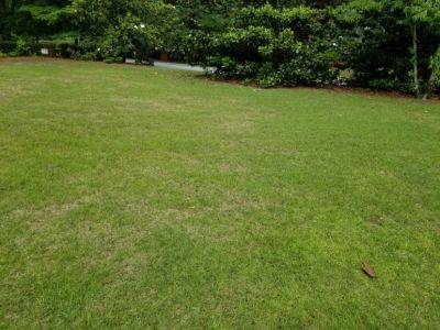 How Often Should A Lawn Be Watered? - hgic.clemson.edu