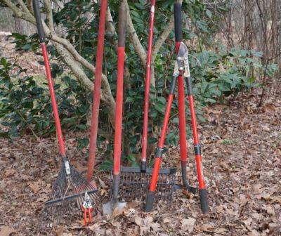 Garden Tip: How to Spot Tools in Your Landscape - hgic.clemson.edu