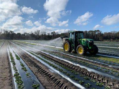 SC Fruit and Vegetable Field Report January 19, 2021 - hgic.clemson.edu