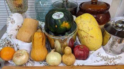 Is It A Decoration? Is It Food? The Many Uses and Types of Fall and Winter Squash - hgic.clemson.edu