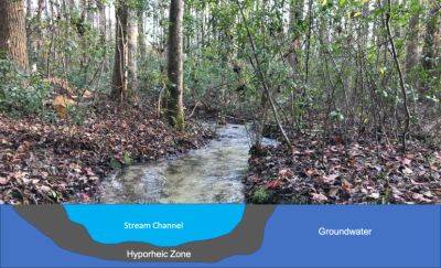 The Hyporheic Zone and Streams - hgic.clemson.edu