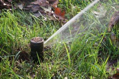 Winter Irrigation for Turfgrass Lawns - hgic.clemson.edu - state South Carolina
