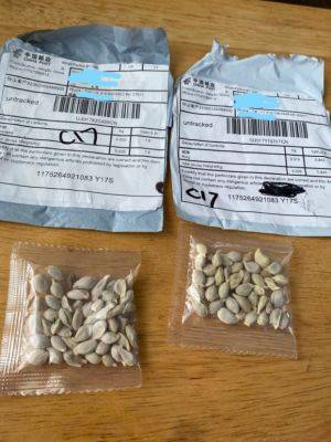 Caution Urged After Mystery Seed Mailings - hgic.clemson.edu - China - state South Carolina