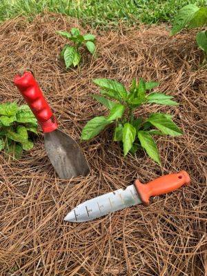 A Few More Cool Tools to Add to Your Garden Toolbox - hgic.clemson.edu