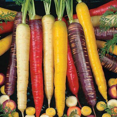 Healthy Tips – Carrots - hgic.clemson.edu