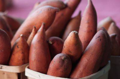 Healthy Tips – Sweet Potatoes - hgic.clemson.edu
