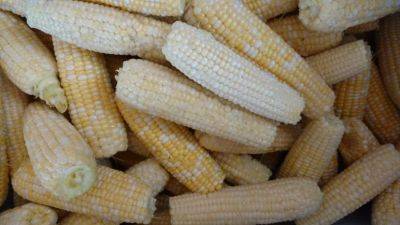 Healthy Tip – Silver Queen Corn - hgic.clemson.edu