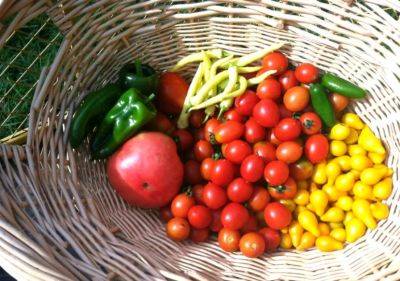 Healthy Tips – Tomatoes - hgic.clemson.edu - Italy - Spain