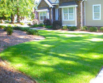 Winterizing Lawns - hgic.clemson.edu