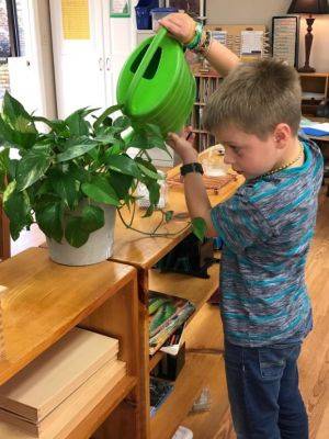 Indoor Plants for the Classroom - hgic.clemson.edu - China