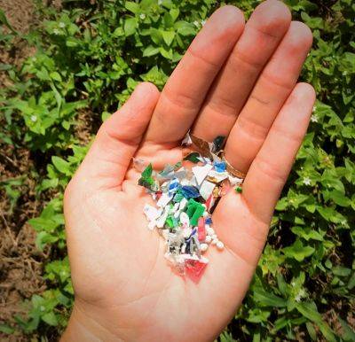 Microplastics: Small Plastics, Big Problem - hgic.clemson.edu
