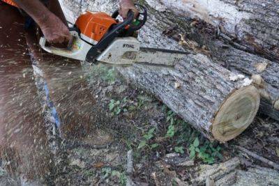Chainsaw Safety: Always Use Your Personal Protective Equipment (PPE) - hgic.clemson.edu