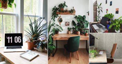 25 Copy Worthy Office Desk Plant Pictures from Instagram - balconygardenweb.com - Britain
