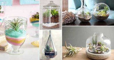 53 DIY Terrarium Ideas That Will Blow Your Mind Away! - balconygardenweb.com