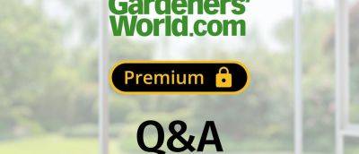 Monthly Q&A - August 2023 - gardenersworld.com - Spain