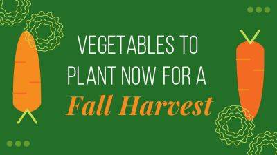 Plant These Vegetables Now for a Fall Harvest - gardengatemagazine.com