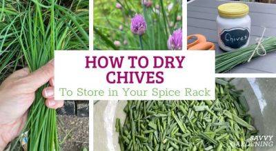How to Dry Chives for Your Spice Rack - savvygardening.com