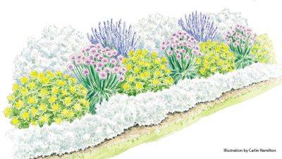 Grow a Drought-Tolerant Border with ‘Millenium’ Allium - gardengatemagazine.com
