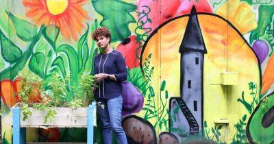 ‘The fresh air is good for the head’: The joy and community to be found in city allotments - irishtimes.com