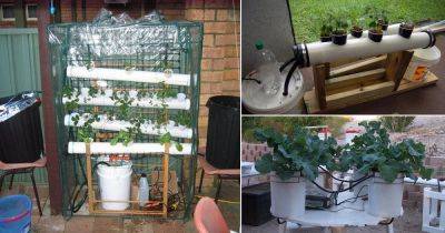 17 Homemade Hydroponic Systems | DIY Hydroponic Gardens - balconygardenweb.com