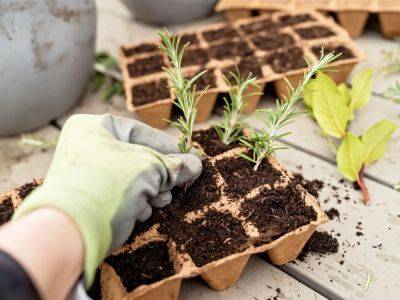 Ways To Find Free Plants For Your Garden - gardeningknowhow.com - state California