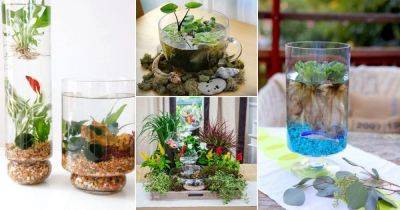 10 Creative DIY Table Top Water Garden Ideas - balconygardenweb.com