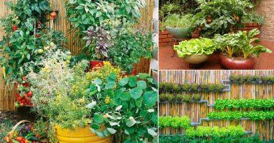 22 Stunning Container Vegetable Garden Design Ideas & Tips - balconygardenweb.com