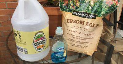 DIY Weed Killer - hometalk.com