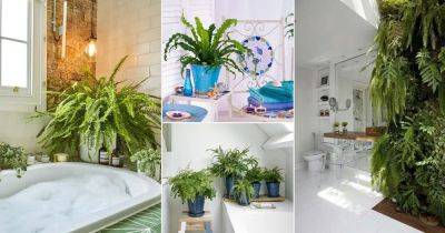 24 Stunning Pictures of Ferns in Bathrooms - balconygardenweb.com